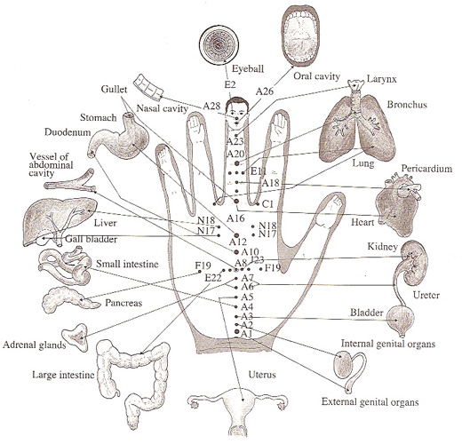 விரலை அழுத்தினால் எல்லா நோயும் போச்சு..!