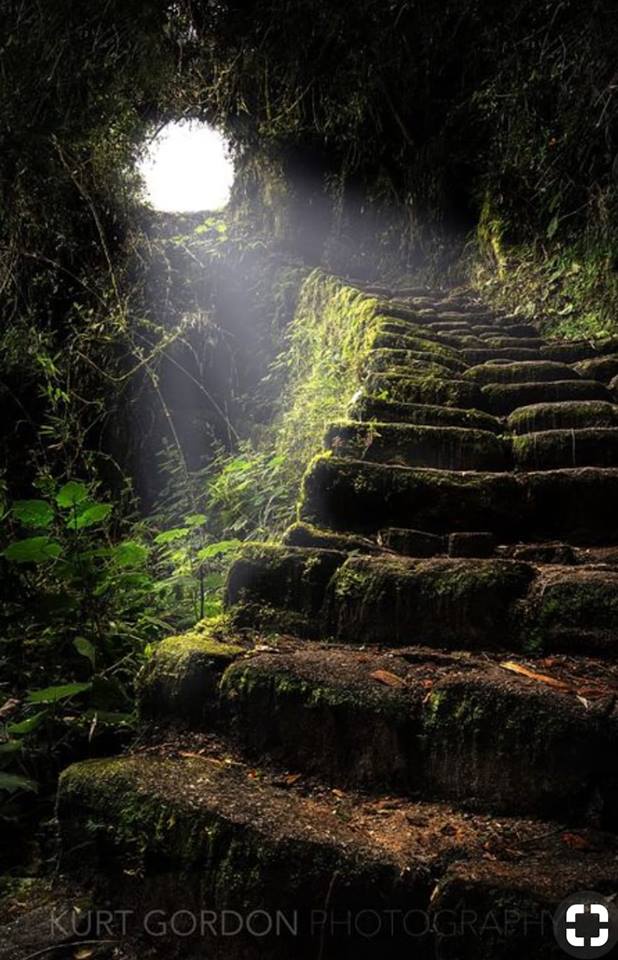 எல்லோரும் இறையே..!