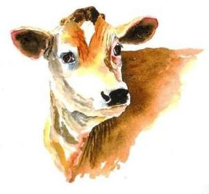 புத்தியுள்ள பெண்ணை மனைவியாக அடைந்தவன் பாக்கியவான்..!