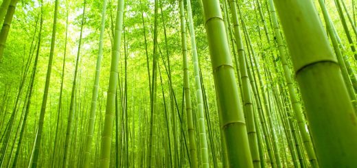 முழுமையாக படித்தால் அதுவும் ஒரு வெற்றி தான்