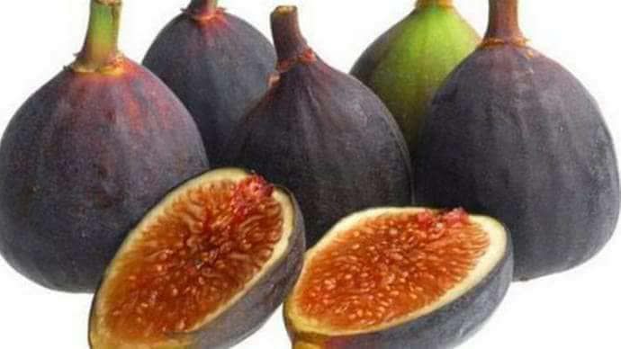 அத்திப்பழம் சாப்பிடுவதால் கிடைக்கும் நன்மைகள்