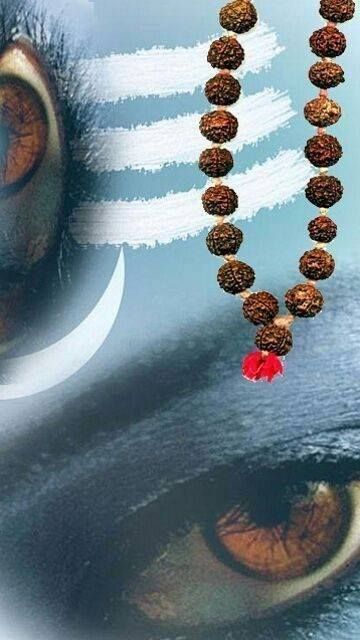 தோல்வியே இல்லாத பயணம்