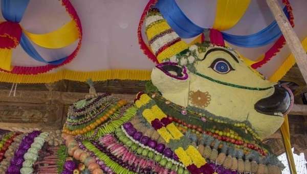 இருபது வகை பிரதோஷ விரத வழிபாடு