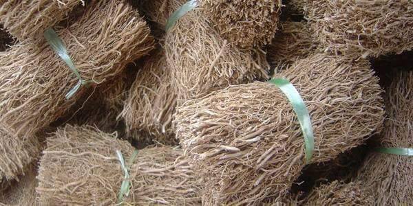 The benefits of cutting the root: