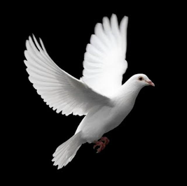 இறைவா, நீர் அளித்துள்ள அனைத்திற்கும் நன்றி