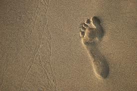 “நான் கடவுள்”