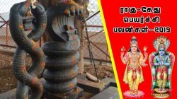 Aries - Raku Ketu Breakthrough Results