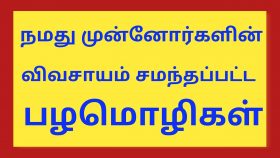 விவசாய பழமொழிகள்