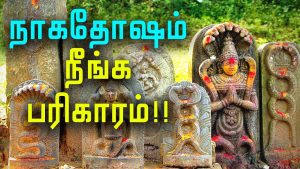 நாகதோஷ பரிகாரம்