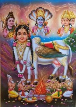 காமதேனு