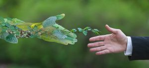 வாழ்க்கையில் நல்வழிகளைக் கடைப்பிடிப்போம்..!