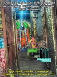 அத்தி மரத்தில் காட்சி கொடுத்த வானமுட்டிப் பெருமாள்.