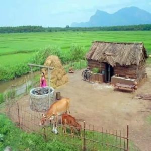 நலமோடு அமைதியாய் வாழ்ந்து அனுபவிக்க.