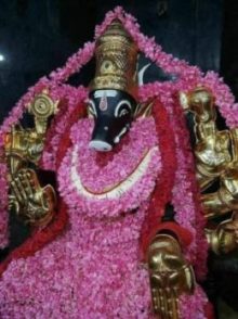 ஸ்ரீ வாராஹி அம்மன்