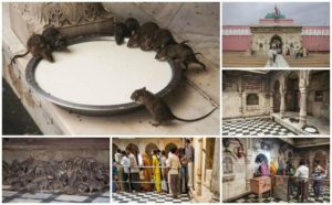 கர்ணி மாதா கோயிலின் வரலாறு.