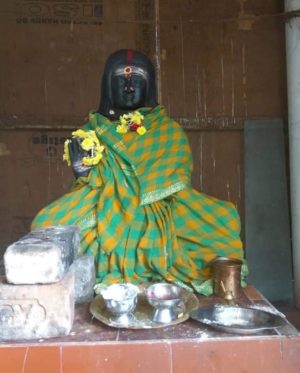 சித்தர் சரோஜா அம்மா குரு பூஜை வழா