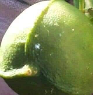 திருஷ்டி கழிய என்ன செய்ய வேண்டும்?