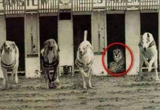 நிரூபிக்காமல் இருப்பதே சிறந்த புத்திசாலித்தனம்..!