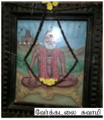 வேர்க்கடலை சாமி