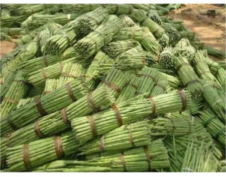 வெறுங்கையோடு போவான்-பழமொழி