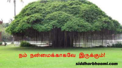 நம் நன்மைக்காகவே இருக்கும்!