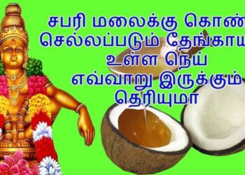 Swami Charanam Ayyappa