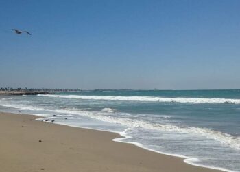 உப்புதண்ணீரின் மகிமை – பரிகாரம் கடல் தண்ணீர்