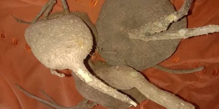 If you tie a tuber with the sky, it will cut!