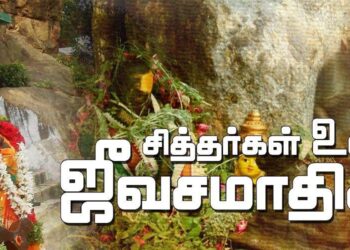 Jivasamadhi level - Siddhartha worship gives specialness in life