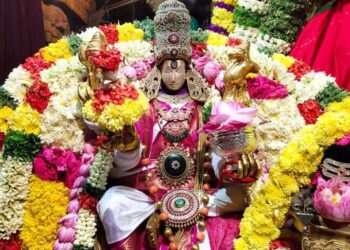 Madurai Meenakshi Goddess - Navratri