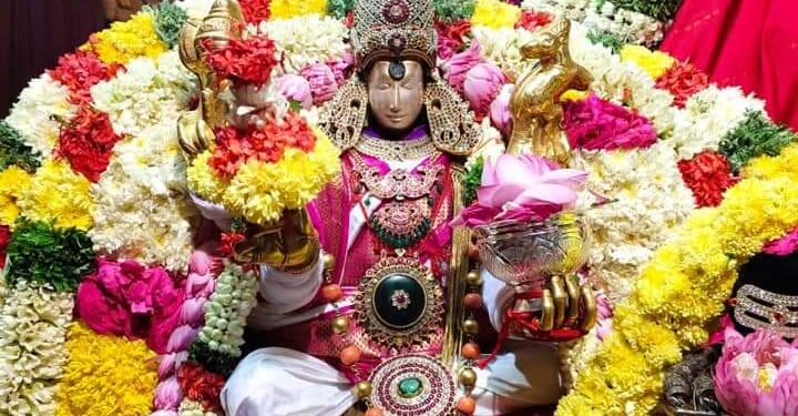 Madurai Meenakshi Goddess - Navratri