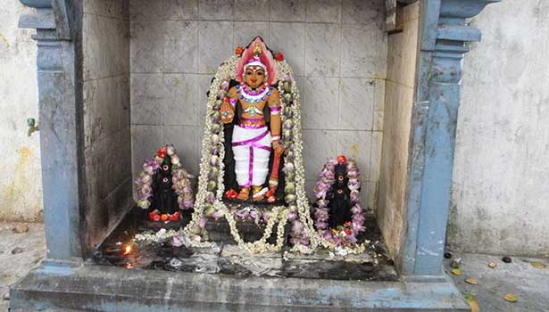 Oily thoughts will all come true.