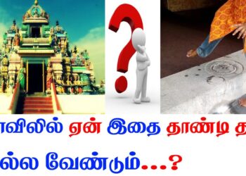 We have to go beyond that.