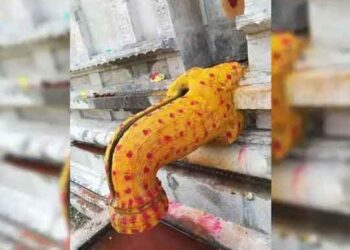 பாவங்களைப் போக்க