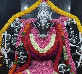 Worship Goddess Panchami Varahi
