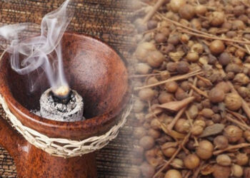 Do the same throughout the house on the last Sunday of Thrushti