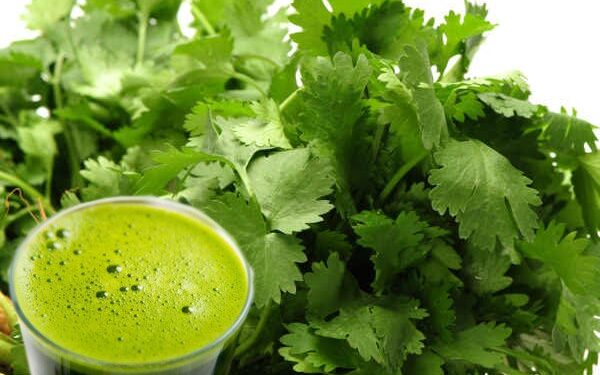 Drink coriander juice