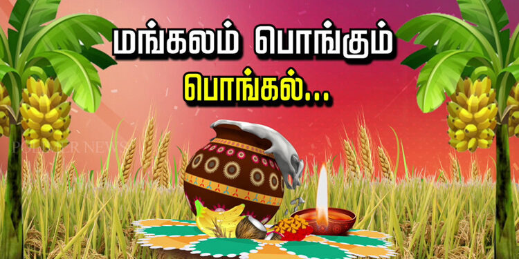 Pongal Festival - Greetings