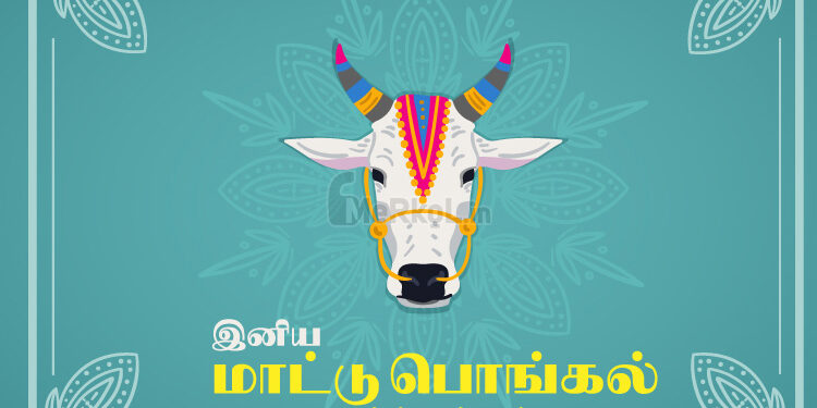 Specialties of Uzhavar Thirunalam Cow Pongal!