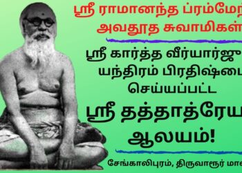 Brahma Bhuta Ramananda Brahmendra Swamis