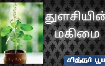 துளசியின் மகிமை.