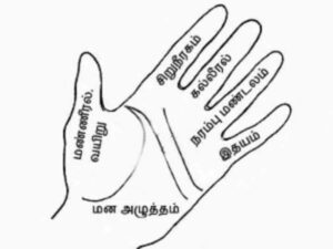 Training for the fingers