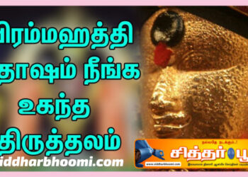 பிரம்மஹத்தி தோஷமா அப்படி யென்றால் என்ன? அதற்கென்ன பரிகாரம்?