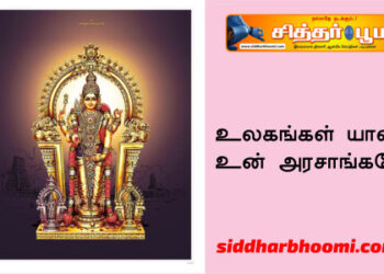 உலகங்கள் யாவும் உன் அரசாங்கமே!