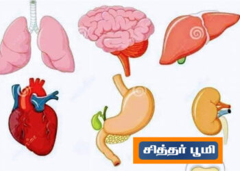 https://www.youtube.com/c/siddharbhoomi/videos