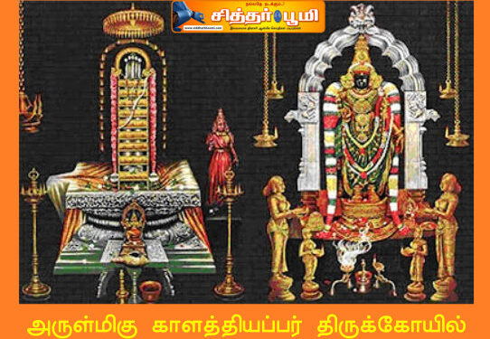 அருள்மிகு காளத்தியப்பர் திருக்கோயில் – காளஹஸ்தி