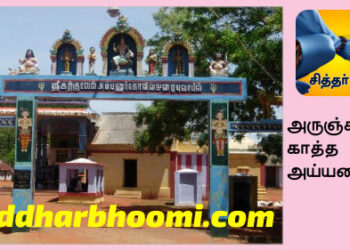 அருஞ்சுனை காத்த அய்யனார்