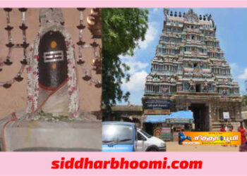 21 தலைமுறைகளின் பிதுர் சாபங்கள் நீங்க?