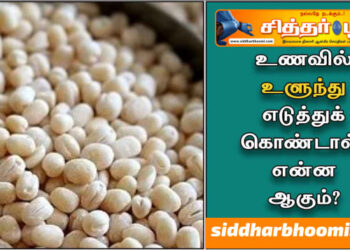 அடிக்கடி உளுந்து சாப்பிடுவீங்களா!