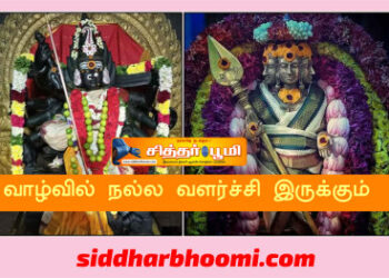 வாழ்வில் நல்லவளர்ச்சி இருக்கும்.